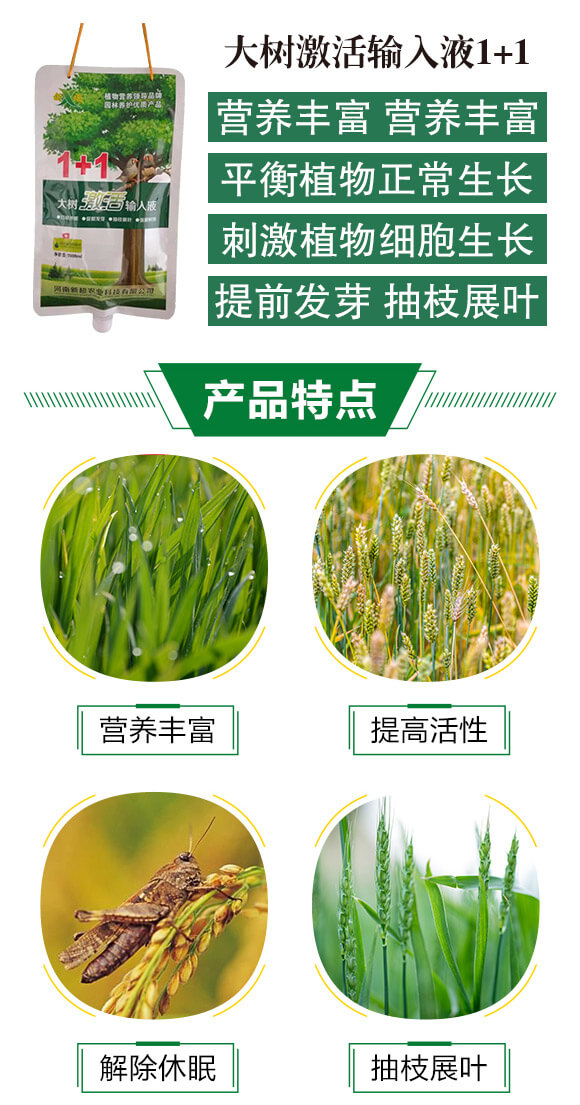 大樹(shù)激活輸入液1+1-新超_02