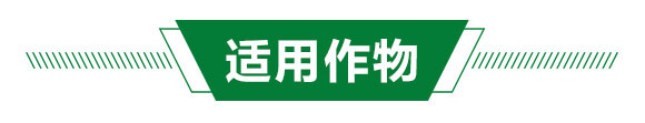 大樹(shù)激活輸入液1+1-新超_03