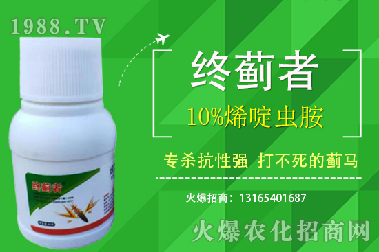 10%ϩxܴERʲôc(din)10%ϩxʹע(xing)