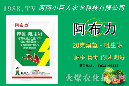 20%衤xЩx20%衤xđ(yng)÷