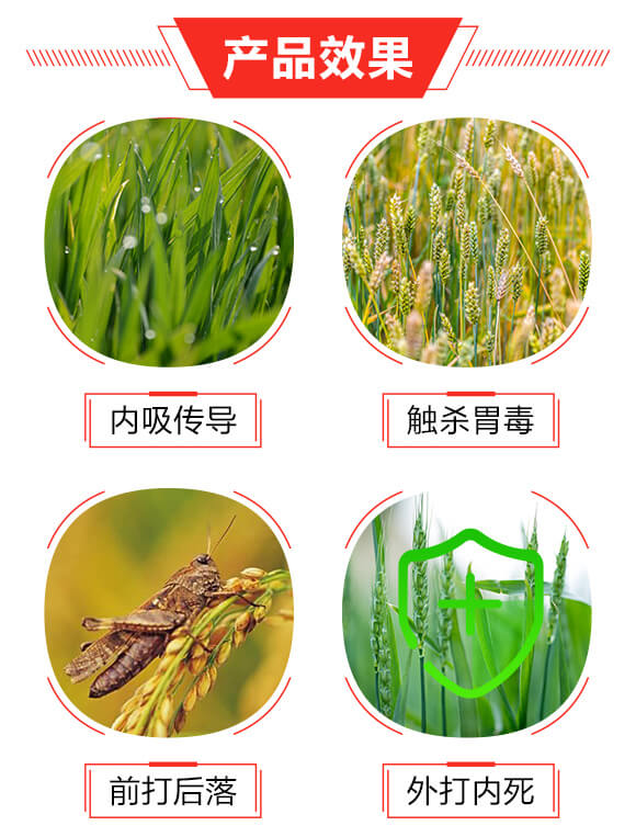 20%溴氰·吡蟲(chóng)啉(200ml)-巧喜-富利達(dá)_03