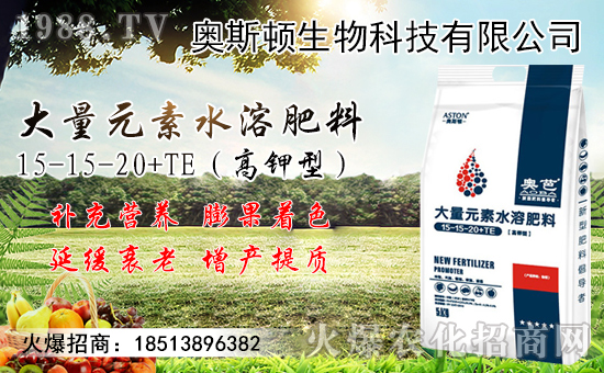 ޽ӷЩ޽ӳɻߣ