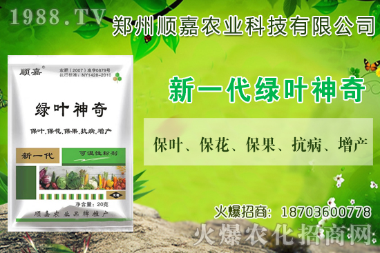小麥價格連連上漲!現在一斤多少錢?