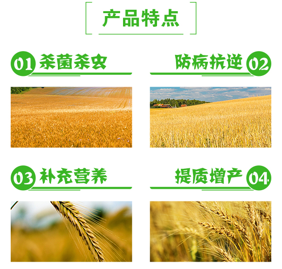 小麥高產套餐(五效合一)-粒粒豐-泰利爾_03