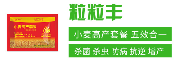 小麥高產套餐(五效合一)-粒粒豐-泰利爾_02