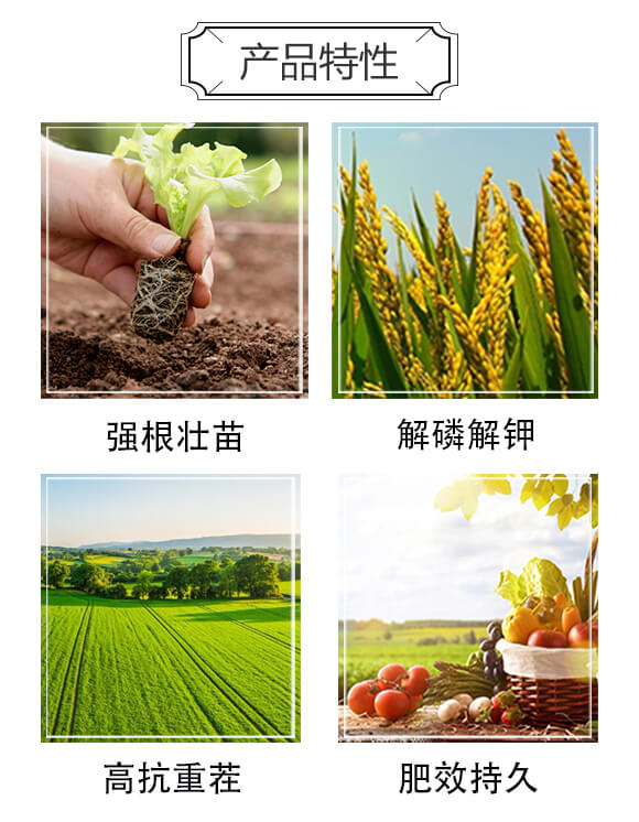 有機(jī)肥料-欣豐樂_02