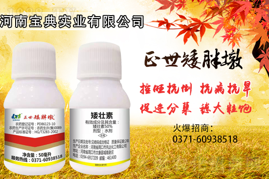 С(sh)ɓ(zhun)I(y)Ч