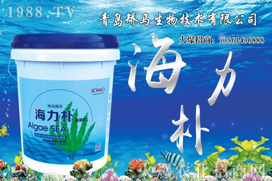 雪桃苗價(jià)格多少錢一棵？2021年種植雪桃能賺錢嗎？