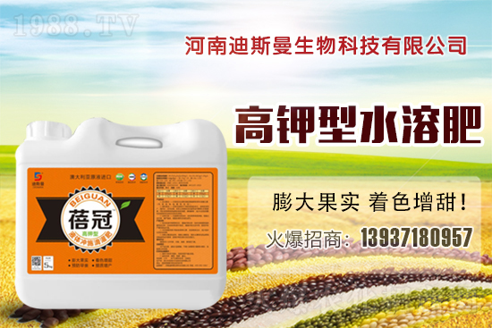 ϵ˹ٺ1988.TVyֹM(jn)Txͣ