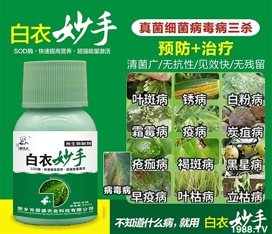 新鄉(xiāng)市碧盛農業(yè)科技有限公司1