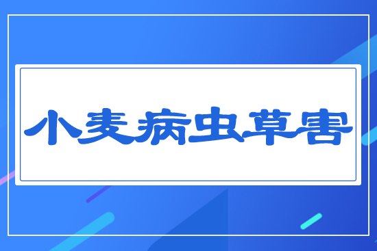 Сxݺ
