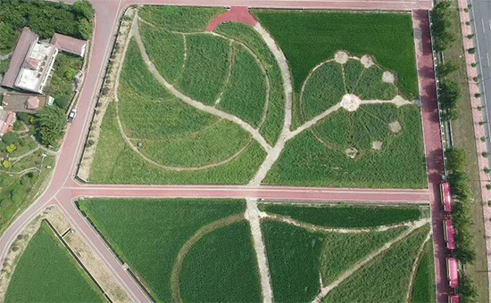 ذߌóɶNI(y)[(hu)n1118