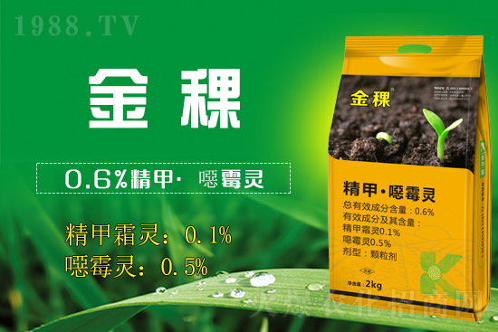 ս(qing)v1988.TV_W(wng)j(lu)