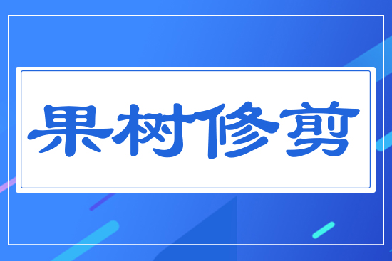 (sh)޼