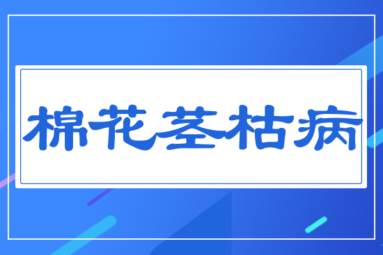 ޻oݲ