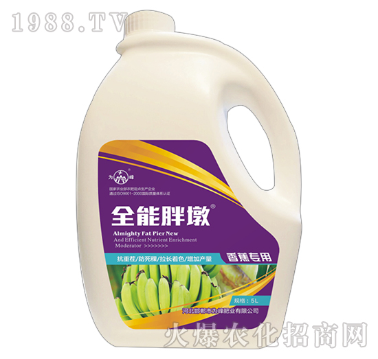 ȫֶ-㽶(zhun)-