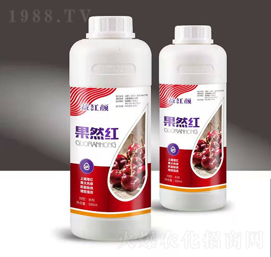 果然紅-益紅顏-穗滿倉(cāng)