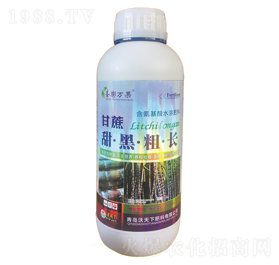 1000mlڴL(zhng)-ʥf-
