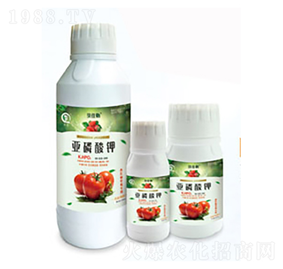 tݮ(zhun)Á-л