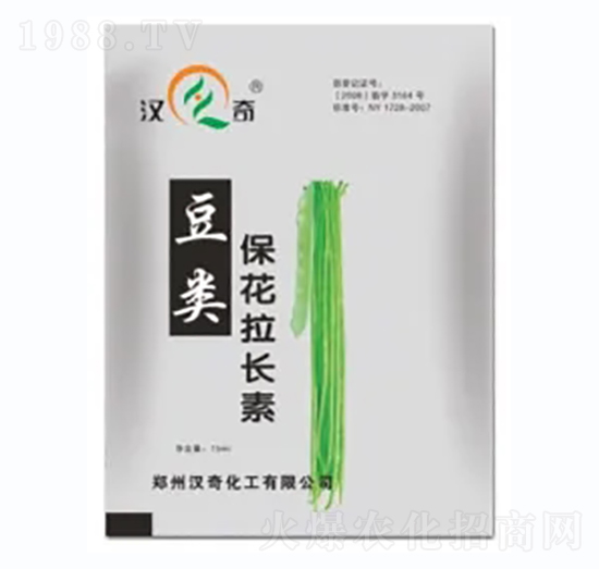 L-h滯