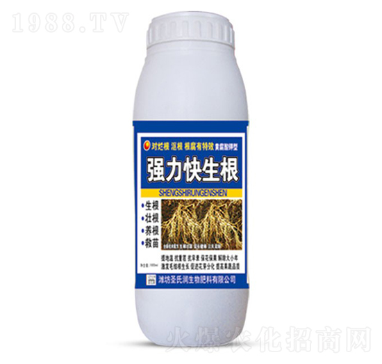 (qing)-ʥϝ