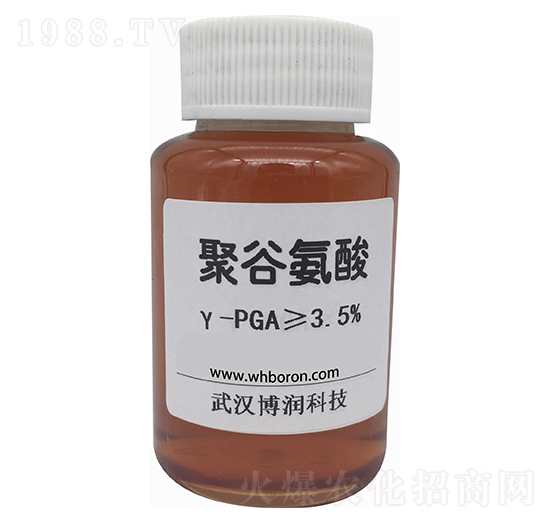 ۹Ȱ-PGA-(rn)Ƽ