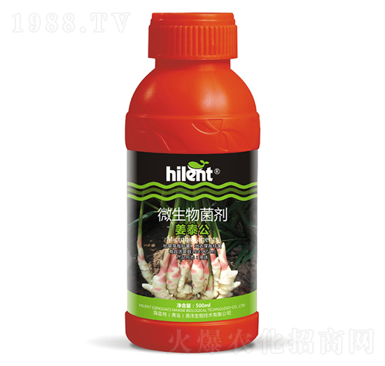 500ml΢-̩-{