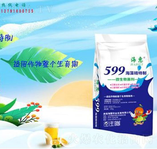 599徫-