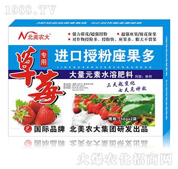 草莓專用進(jìn)口授粉座果多-北美農(nóng)大