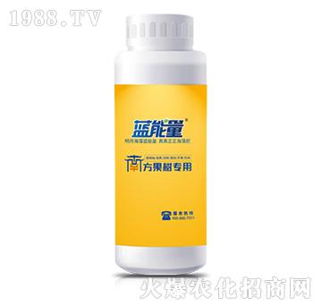 (sh)(zhun)-n-{(ln)