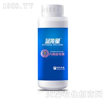(sh)(zhun)-n{(ln)-{(ln)
