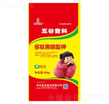 多肽黃腐酸鉀-宏達(dá)肥業(yè)