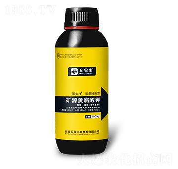 ƿbD(zhun)ɫ͵VԴS-̫-
