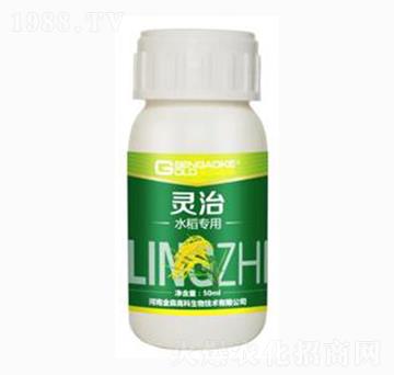 ˮ(zhun)͏(f)΢