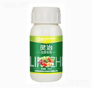 ϲˌ(zhun)Ï(f)΢
