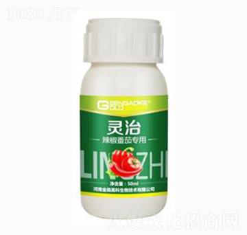 ь(zhun)͏(f)΢