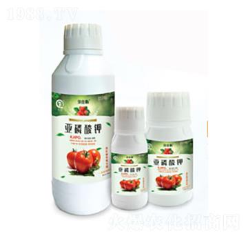 tݮ(zhun)Á-л