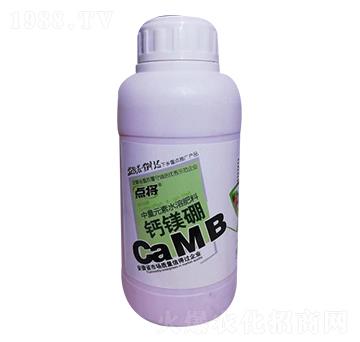c}V-B(yng)
