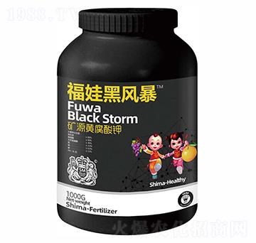 VԴS-޾GL1000g-{RʘI(y)