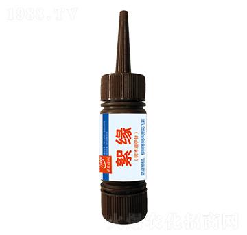 ľ-ڶ(rn)