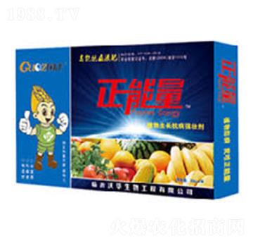 VVֲL(zhng)(qing)