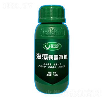 岡w-