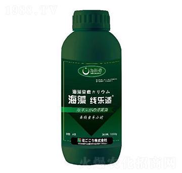 往m-