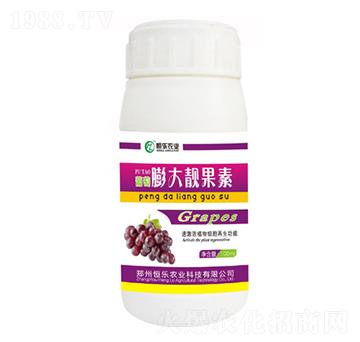 葡萄膨大靚果素-恒樂農(nóng)業(yè)