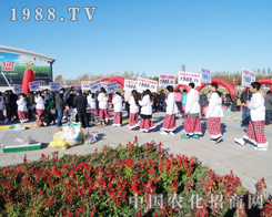 ȥ2013LչN