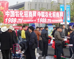 2013ֲ(hu)r(nng)Ч(qing)
