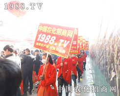 1988.TV2015INֱǰ