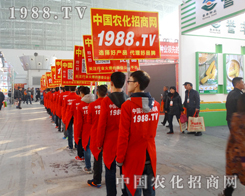 1988.TVˆTwP
