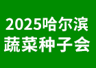 2025I߲˷Nӕ(hu)