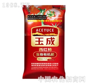 ЙCʣt